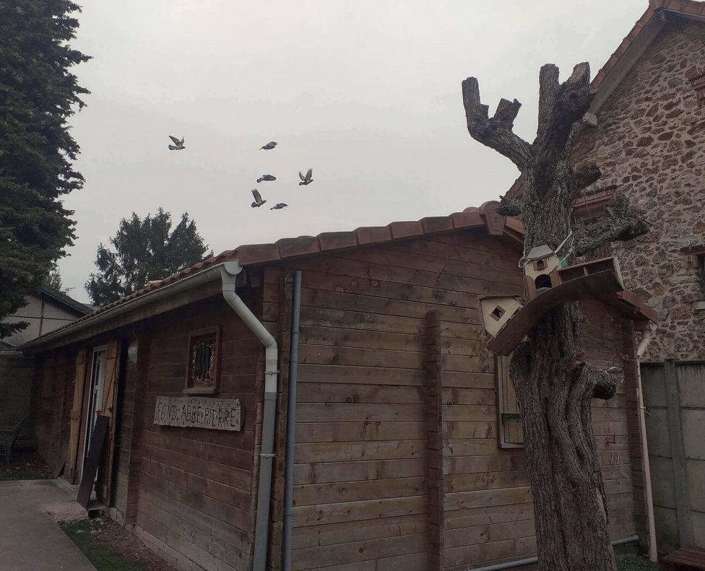 Fondation Abbé Pierre - Boutique Solidarité - Portrait Nadia - Exclusion - CAPITAINEs.