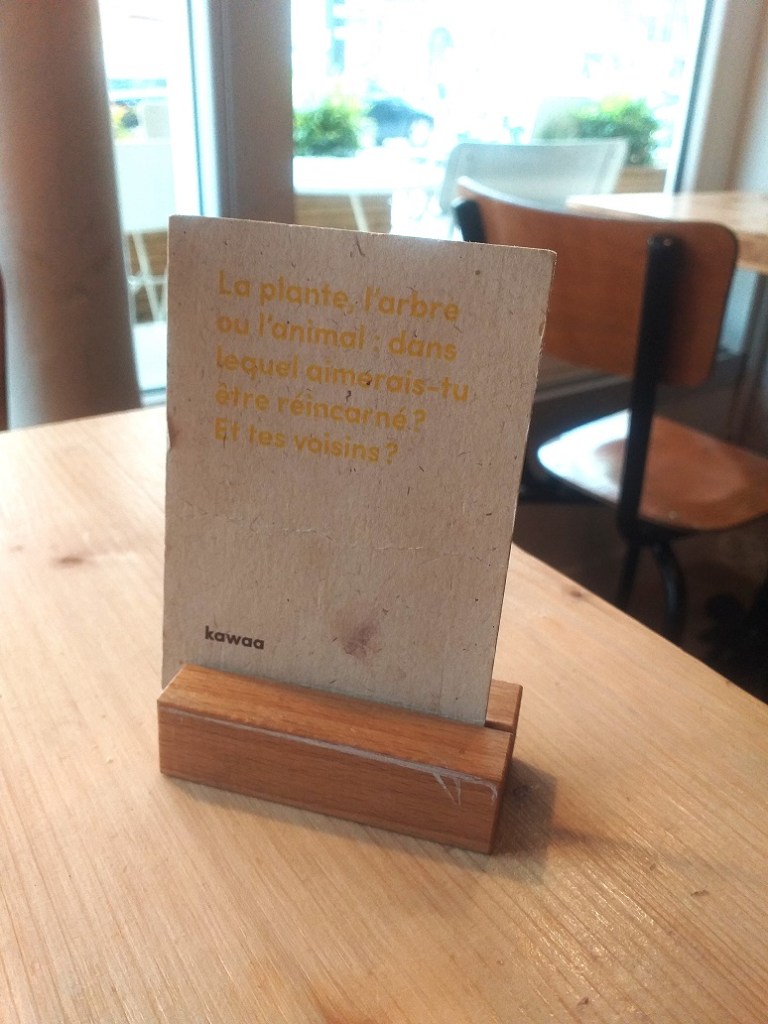 flore-vasseur-décor-kawaa-2-reincarnation-animal-osez-capitaines